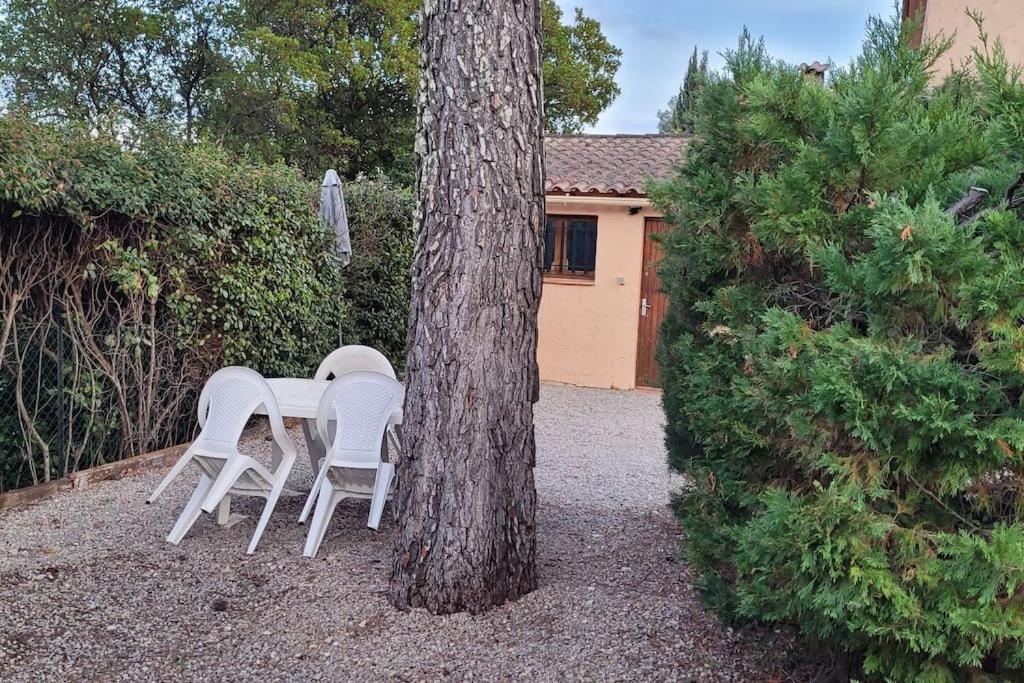 Appartement Dans Une Villa Au Coeur De La Provence Trans-en-Provence Buitenkant foto